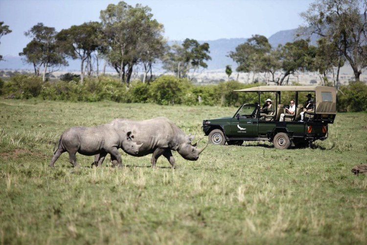 Andbeyond Kichwa Tembo Tented Camp Nashorn