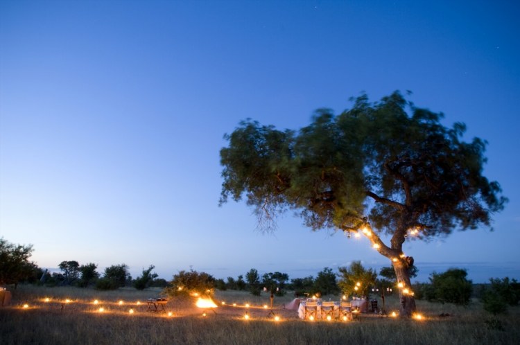 Andbeyond Ngala Safari Lodge 10