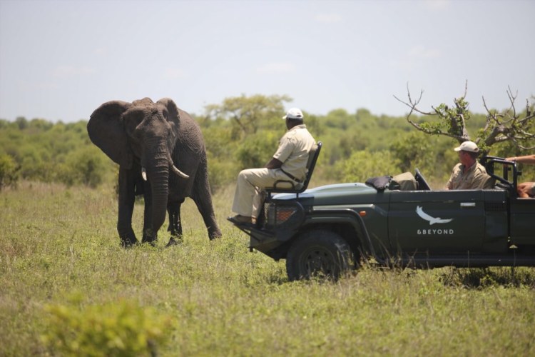 Andbeyond Ngala Safari Lodge 13