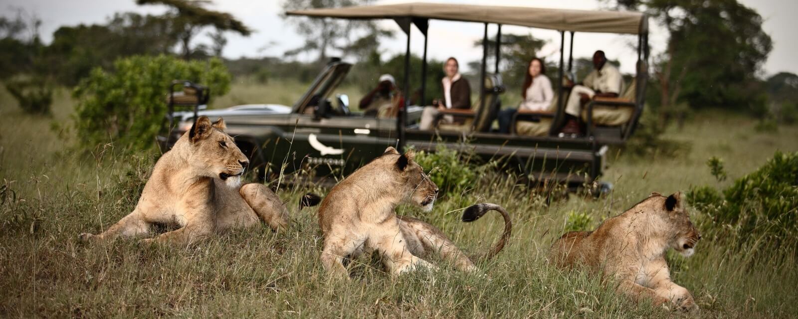 Kleins Camp Game Drive.jpg