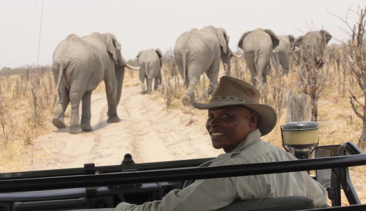 Andbeyond Savute Under Canvas Guide