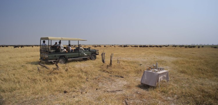 Savute Under Canvas Gamedrive3.jpg