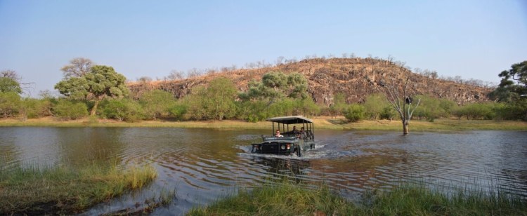 Savute Under Canvas Gamedrive6.jpg