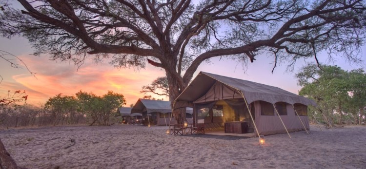 Savute Under Canva Tent2.jpg