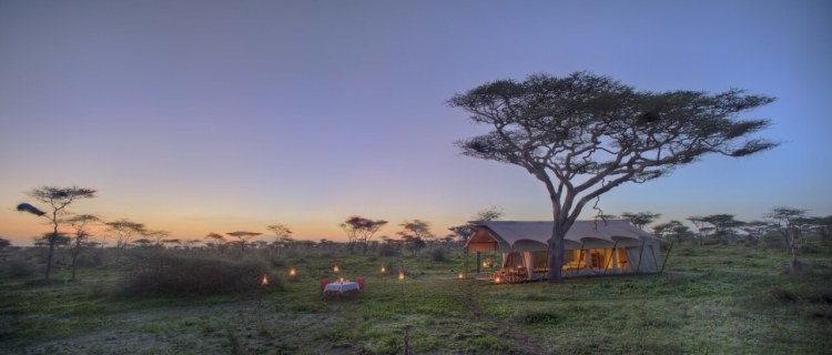 Serengeti Guest Room5.jpg