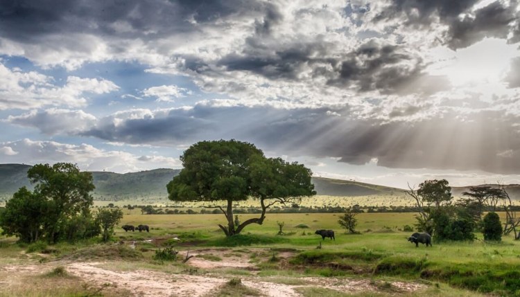 Tanzania Landscape On A Safari With Andbeyond.jpg