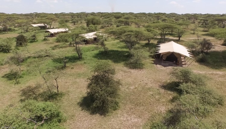Serengeti Under Canvas Aerial View.jpg