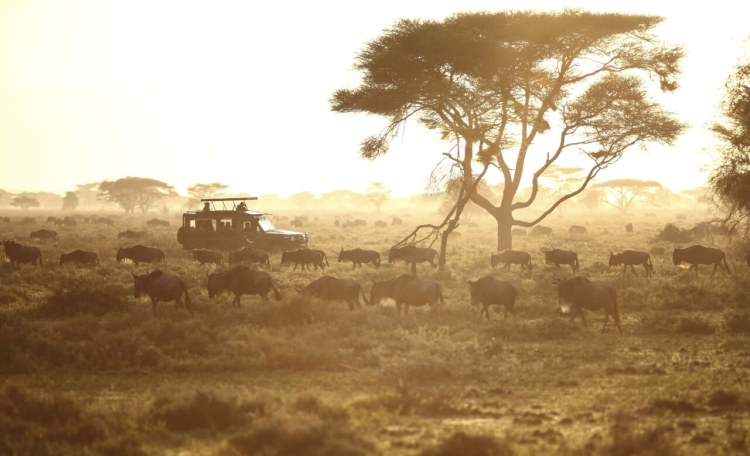 Andbeyond Serengeti Under Canvas (26)