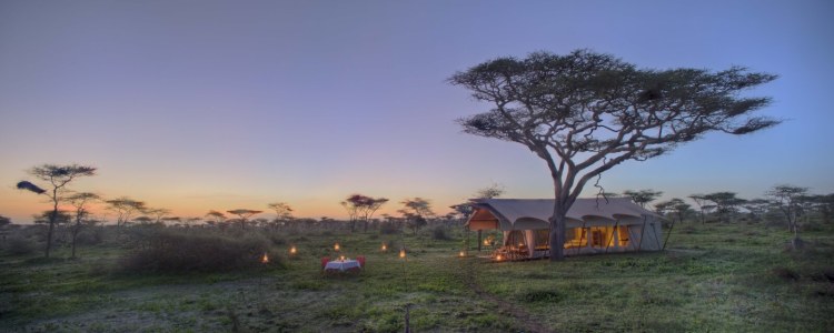 Serengeti Guest Room5.jpg