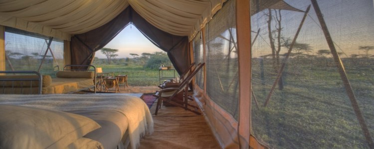 Serengeti Guest Room6.jpg