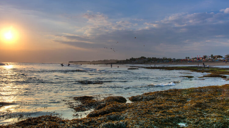 Strandzugang Seseh Beach Villa Ii Bali Villa Mieten