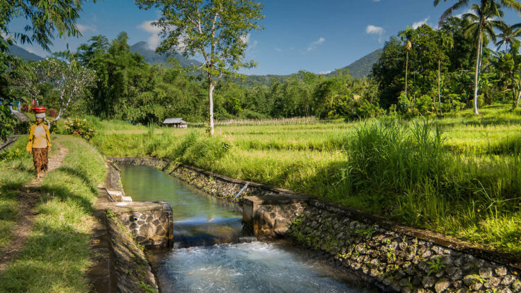 Umgebung Seseh Beach Villa Ii Bali Ferienhaus Mieten