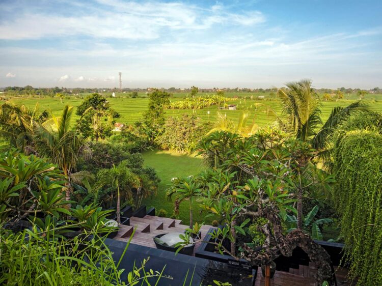 Villa Mana Canggu Bali Garten Reisterrassen Villa Mieten