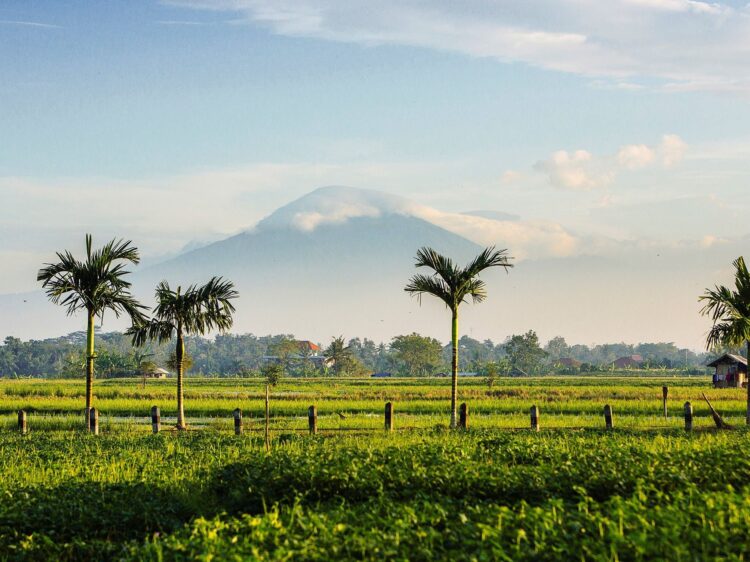 Villa Semarapura Bali Rasenflaeche Meerblick Villa Mieten